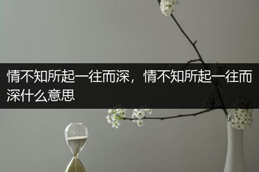 情不知所起一往而深,情不知所起一往而深什么意思