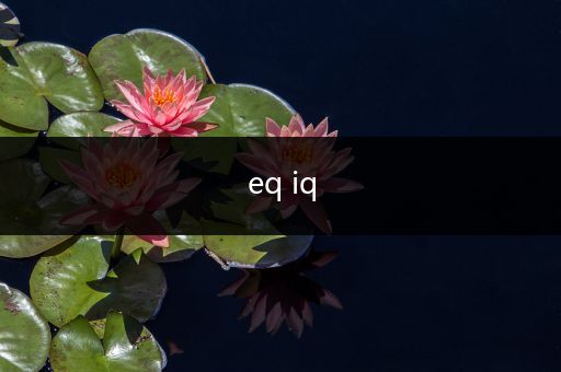 eq iq