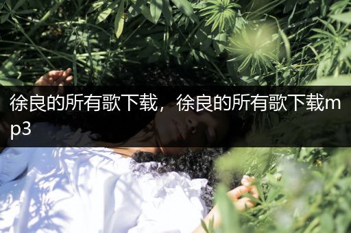 徐良的所有歌下载,徐良的所有歌下载mp3
