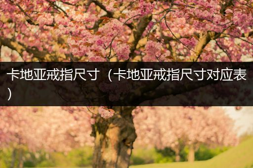 卡地亚戒指尺寸(卡地亚戒指尺寸对应表)