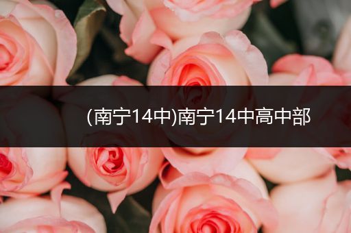 (南宁14中)南宁14中高中部
