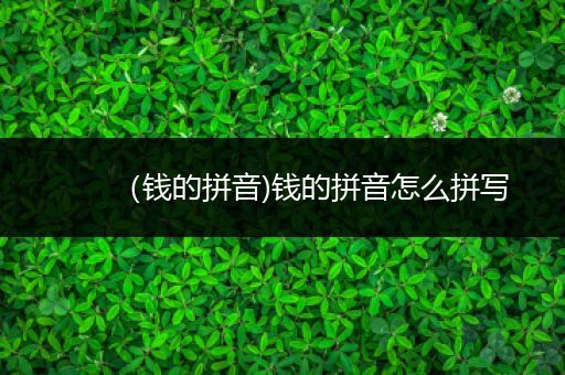 (钱的拼音)钱的拼音怎么拼写