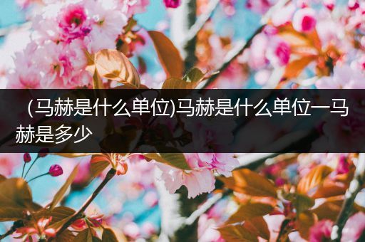 (马赫是什么单位)马赫是什么单位一马赫是多少