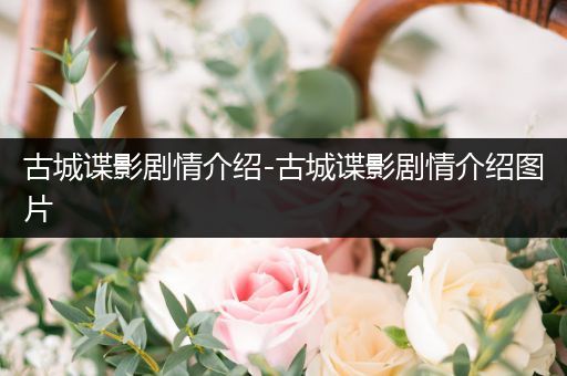 古城谍影剧情介绍-古城谍影剧情介绍图片