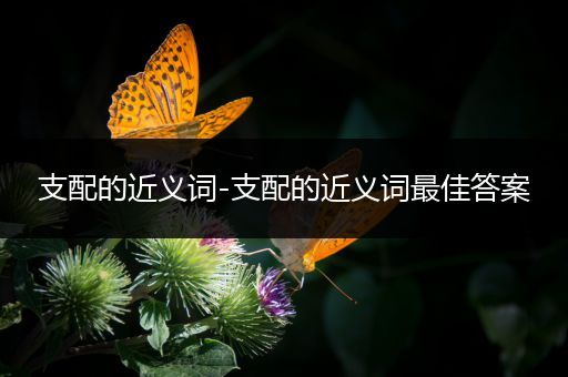 支配的近义词-支配的近义词最佳答案
