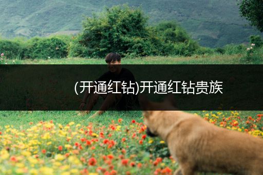 (开通红钻)开通红钻贵族