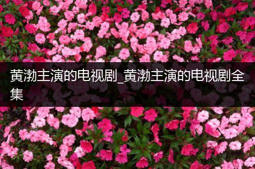 黄渤主演的电视剧_黄渤主演的电视剧全集