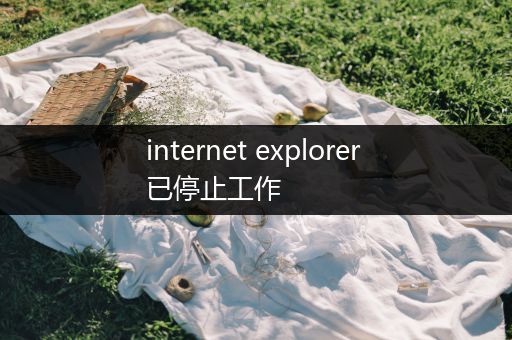 internet explorer 已停止工作