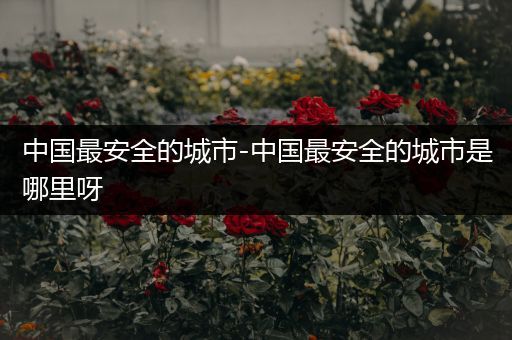 中国最安全的城市-中国最安全的城市是哪里呀