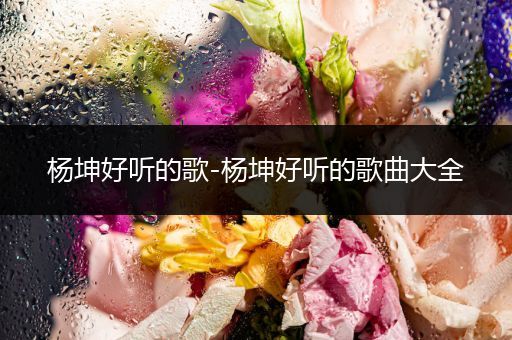 杨坤好听的歌-杨坤好听的歌曲大全