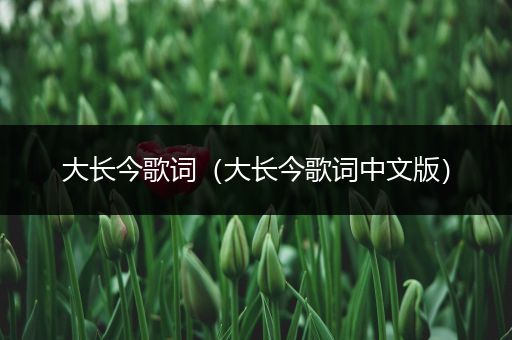 大长今歌词(大长今歌词中文版)