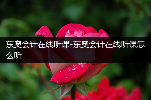 东奥会计在线听课-东奥会计在线听课怎么听