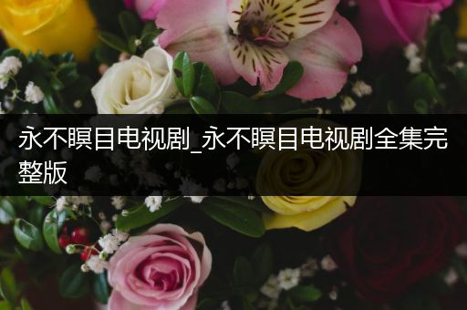 永不瞑目电视剧_永不瞑目电视剧全集完整版
