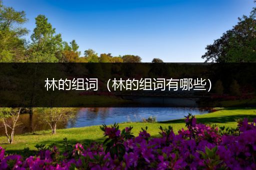 林的组词(林的组词有哪些)