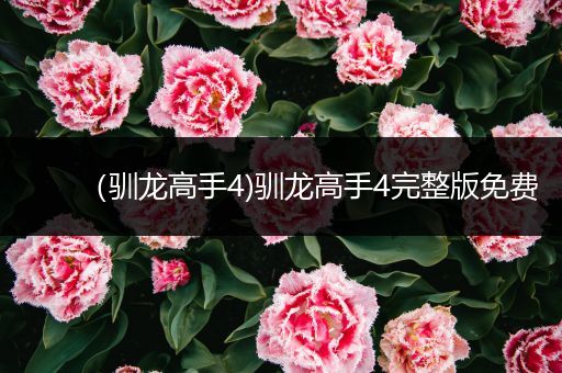 (驯龙高手4)驯龙高手4完整版免费