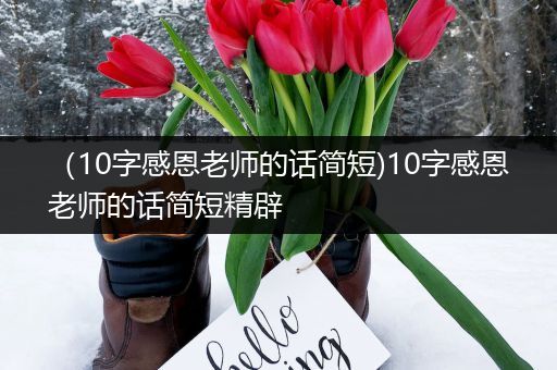 (10字感恩老师的话简短)10字感恩老师的话简短精辟