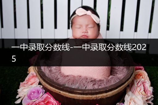 一中录取分数线-一中录取分数线2025