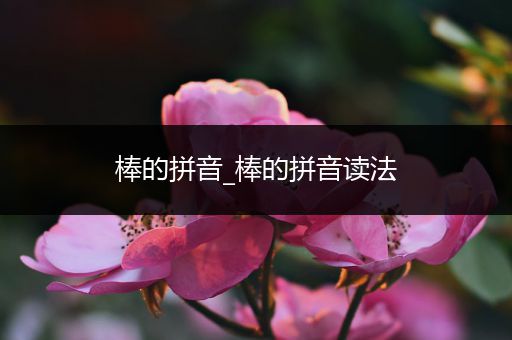 棒的拼音_棒的拼音读法