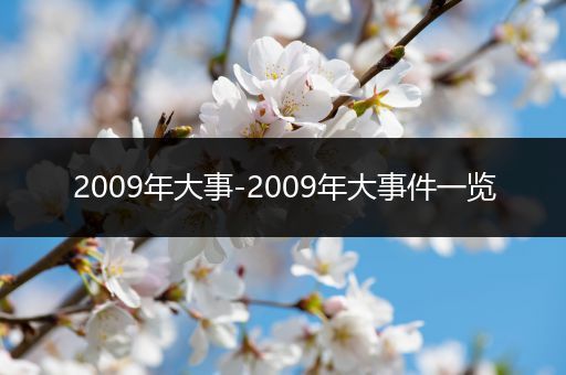 2009年大事-2009年大事件一览