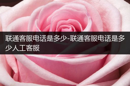 联通客服电话是多少-联通客服电话是多少人工客服