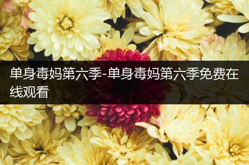 单身毒妈第六季-单身毒妈第六季免费在线观看