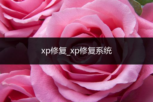 xp修复_xp修复系统