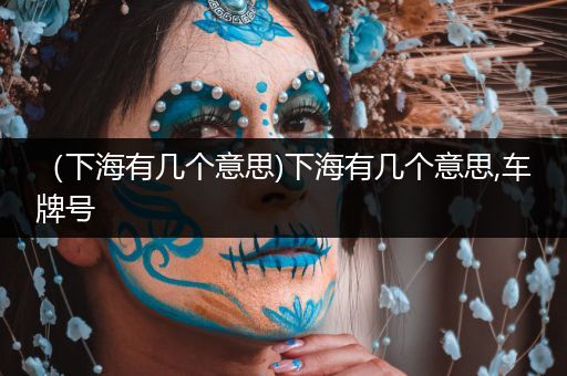 (下海有几个意思)下海有几个意思,车牌号