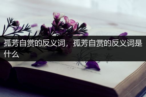 孤芳自赏的反义词,孤芳自赏的反义词是什么