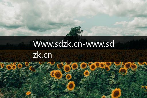 Www.sdzk.cn-www.sdzk.cn