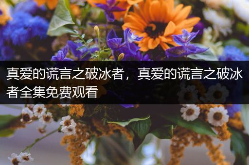真爱的谎言之破冰者,真爱的谎言之破冰者全集免费观看