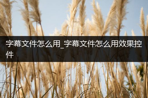 字幕文件怎么用_字幕文件怎么用效果控件