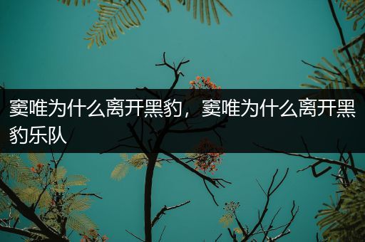 窦唯为什么离开黑豹，窦唯为什么离开黑豹乐队