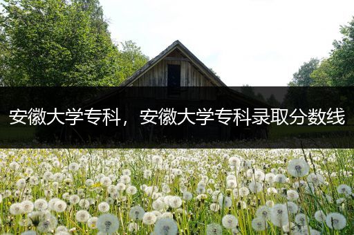 安徽大学专科,安徽大学专科录取分数线