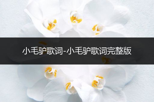 小毛驴歌词-小毛驴歌词完整版