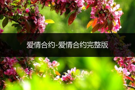 爱情合约-爱情合约完整版