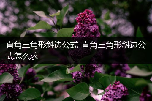 直角三角形斜边公式-直角三角形斜边公式怎么求