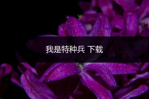 我是特种兵 下载