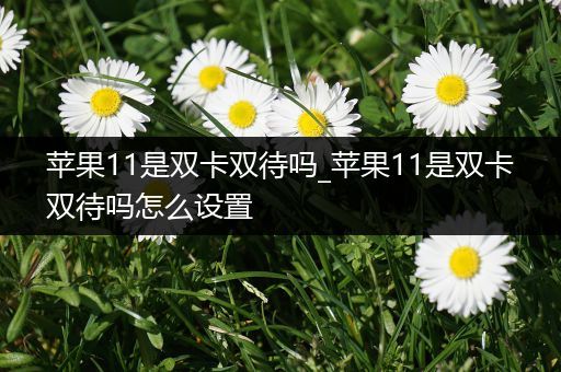 苹果11是双卡双待吗_苹果11是双卡双待吗怎么设置