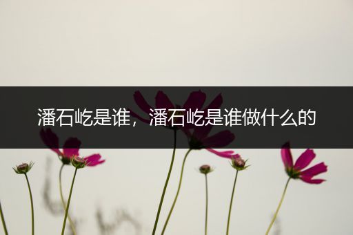 潘石屹是谁，潘石屹是谁做什么的