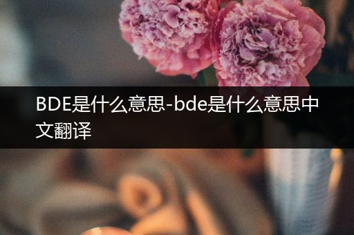 BDE是什么意思-bde是什么意思中文翻译