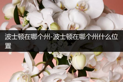 波士顿在哪个州-波士顿在哪个州什么位置