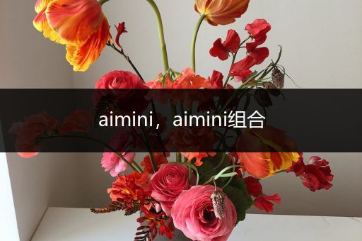 aimini,aimini组合