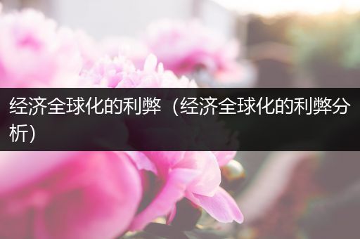 经济全球化的利弊(经济全球化的利弊分析)