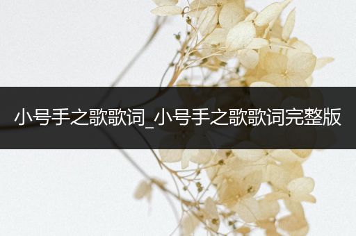 小号手之歌歌词_小号手之歌歌词完整版