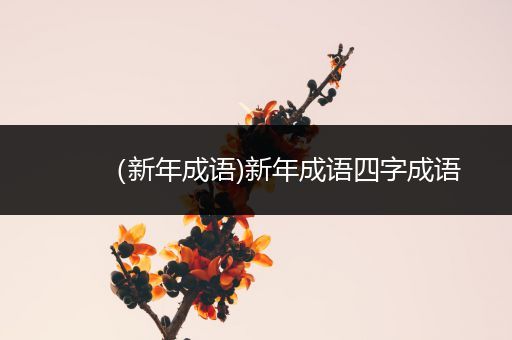 (新年成语)新年成语四字成语