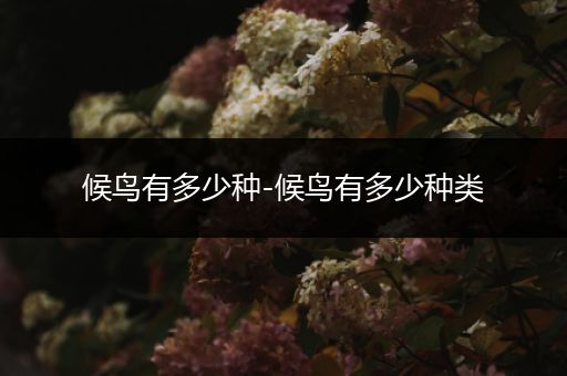 候鸟有多少种-候鸟有多少种类