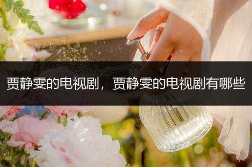 贾静雯的电视剧,贾静雯的电视剧有哪些