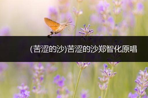 (苦涩的沙)苦涩的沙郑智化原唱