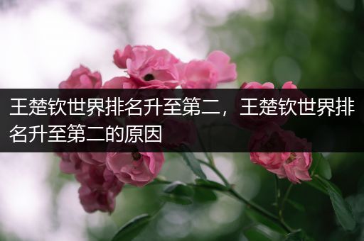 王楚钦世界排名升至第二，王楚钦世界排名升至第二的原因