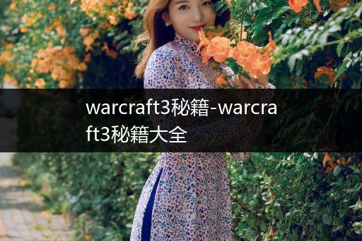 warcraft3秘籍-warcraft3秘籍大全